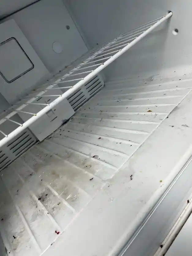 The inside of a refrigerator with spills and crumbs on the shelves, before cleaning