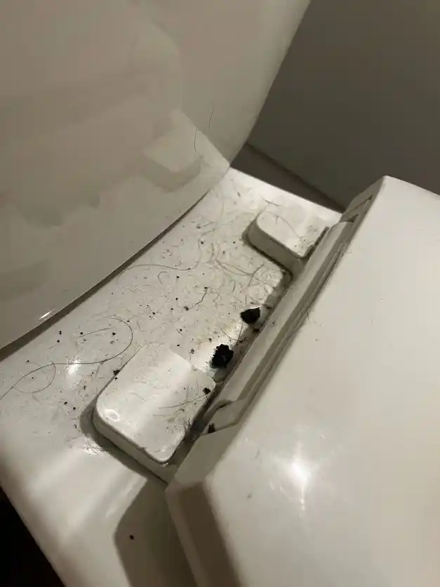 Hair and grime around a toilet seat hinge, before cleaning